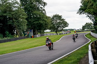 Middle Group Red Bikes